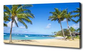 Foto obraz na plátně Tropická pláž oc-53431750