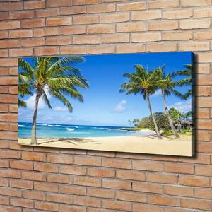 Foto obraz na plátně Tropická pláž oc-53431750