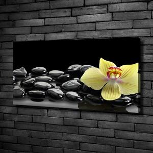 Foto obraz canvas Orchidej oc-53476359