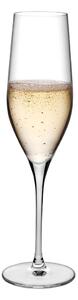 Nude designové sklenice na šampaňské Vinifera