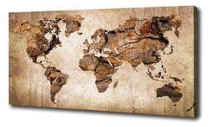Foto obraz canvas Mapa světa dřevo oc-54299109