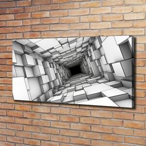 Foto obraz na plátně Tunel z krychlí oc-55216784