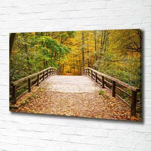 Foto obraz tištěný na plátně Most v lese podzim oc-55256739