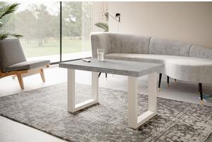 Konferenční stolek LOFT PROSTA 100x60 cm Bílá Šedá