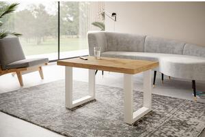 Konferenční stolek LOFT PROSTA 100x60 cm Bílá Tmavý ateliér