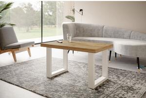 Konferenční stolek LOFT PROSTA 100x60 cm Bílá Tmavý ateliér