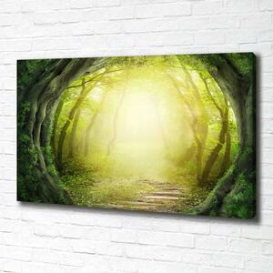 Foto obraz na plátně Tunel ze stromů oc-55464163