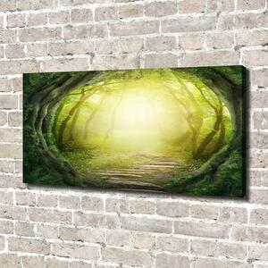 Foto obraz na plátně Tunel ze stromů oc-55464163