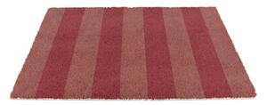 Rohožka z kokosového vlákna 40x60 cm Pink Stripe – Artsy Doormats