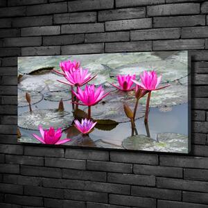 Foto obraz na plátně Květ lotosu oc-57976414