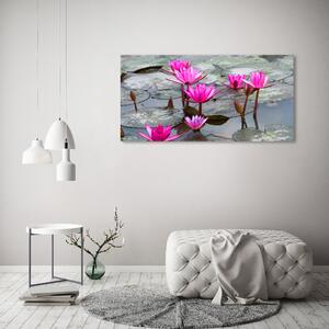 Fotoobraz na skle Květ lotosu osh-57976414