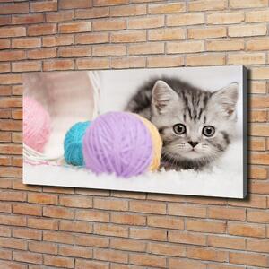 Foto obraz na plátně Kočka s klubíčky oc-58337219