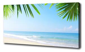 Foto obraz na plátně Tropická pláž oc-5838209