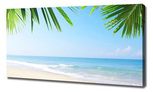 Foto obraz na plátně Tropická pláž oc-5838209