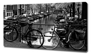 Foto obraz na plátně Kola Amsterdam oc-5974045