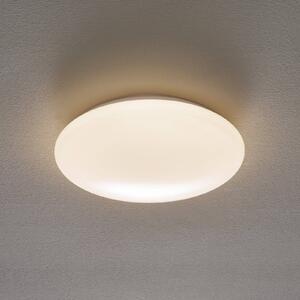 LED stropní světlo Altona, Ø 33,7cm 1 450lm 3 000K