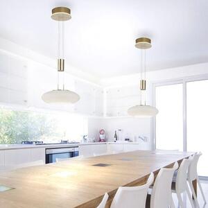 Paul Neuhaus Závěsné LED svítidlo Q-ETIENNE 38,5W, ø 35 cm, CCT 2700-5000K Barva: Mosaz