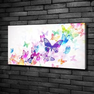 Foto obraz na plátně do obýváku Barevní motýli oc-60051667