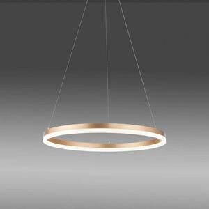 Paul Neuhaus Závěsné LED svítidlo TITUS, 44W, ø 60 cm, 3000K stmívatelné Barva: Mosaz
