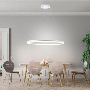 Paul Neuhaus Závěsné LED svítidlo TITUS, 61W, ø 80 cm, 3000K stmívatelné Barva: Bílá