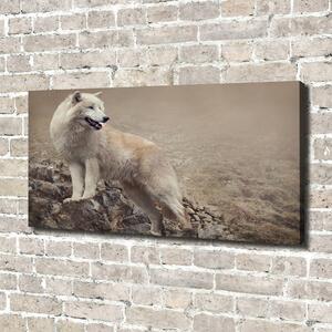 Foto obraz na plátně do obýváku Bílý vlk na skále oc-60381309