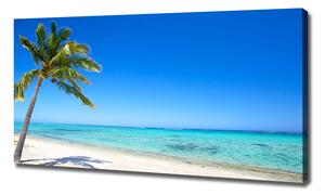 Foto obraz na plátně Tropická pláž oc-60645814