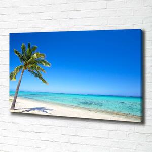 Foto obraz na plátně Tropická pláž oc-60645814