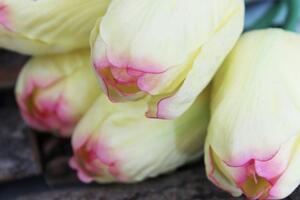 Žlutý umělý tulipán v puku s listy 65cm 1ks