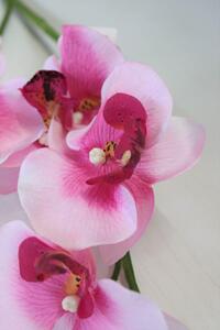 Bělorůžová umělá orchidej 80cm