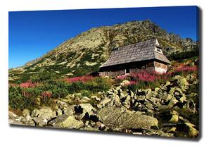 Foto obraz na plátně Bacovina v údolí oc-61140589