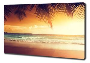Foto obraz na plátně Tropická pláž oc-61252272