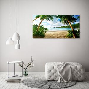 Foto obraz na plátně Palmy na pláži oc-61252283