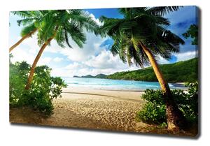 Foto obraz na plátně Palmy na pláži oc-61252283