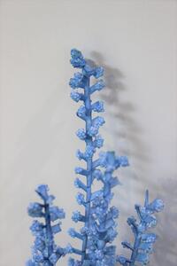 Modrá pěnová tráva s bobulkami 80cm
