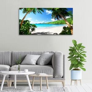 Foto obraz na plátně Seychely pláž oc-61515092
