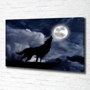 Foto obraz na plátně do obýváku Vyjící vlk úplněk oc-61523126