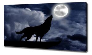 Foto obraz na plátně do obýváku Vyjící vlk úplněk oc-61523126