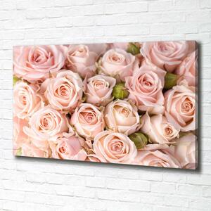 Moderní fotoobraz canvas na rámu Růže oc-61659920