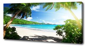 Moderní fotoobraz canvas na rámu Seychely pláž oc-61788906