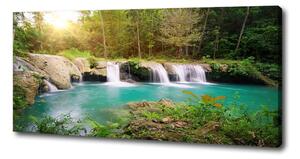 Foto obraz na plátně Vodopád v lese oc-62884614