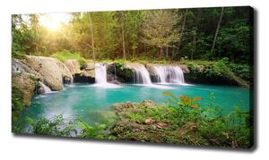 Foto obraz na plátně Vodopád v lese oc-62884614