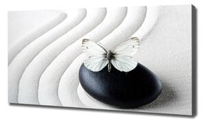 Foto obraz na plátně Kámen zen a motýl oc-62915953