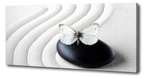 Foto obraz na plátně Kámen zen a motýl oc-62915953