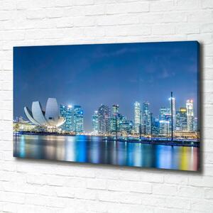 Moderní obraz canvas na rámu Singapur noc oc-63023260