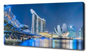 Moderní obraz canvas na rámu Singapur noc oc-63023260