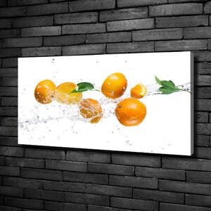 Foto obraz na plátně Pomeranče a voda oc-63072139