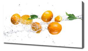 Foto obraz na plátně Pomeranče a voda oc-63072139
