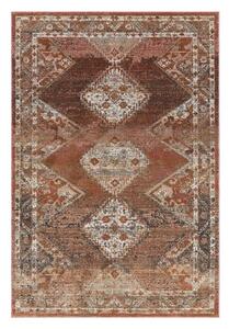 Červeno-hnědý koberec 230x155 cm Zola - Asiatic Carpets