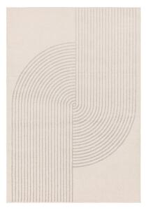 Krémovo-šedý koberec 290x200 cm Muse - Asiatic Carpets
