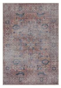 Koberec 290x200 cm Kaya - Asiatic Carpets